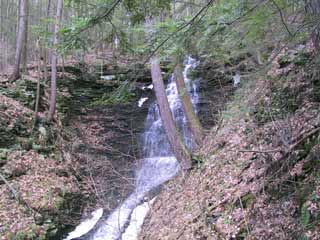 35' waterfall on Spring Brook