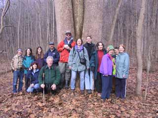 Hike members at huge sycamore tree